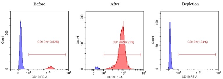 人CD19 (1).jpg