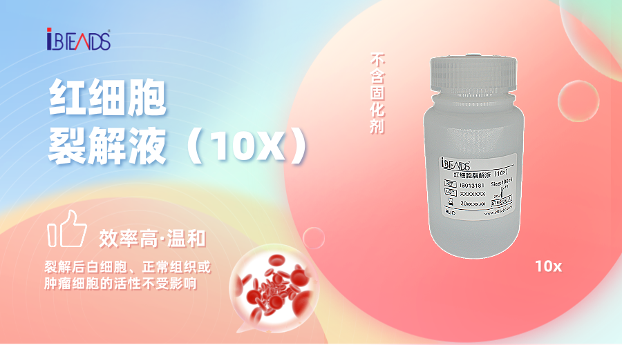 双十一活动促销简约风横版海报__2025-09-04+16_18_44.png
